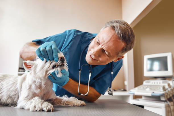 Best Emergency Dental Extractions in Tahoka, TX