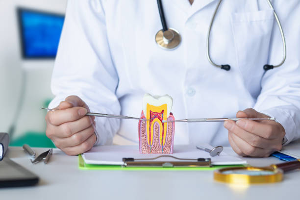 Best Emergency Dental Services for Seniors in Tahoka, TX